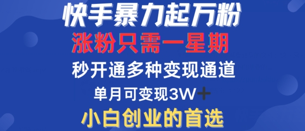 快手暴力起万粉，涨粉只需一星期，多种变现模式，直接秒开万合，单月变现过W【揭秘】-资源宝库