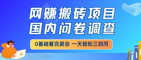 网创搬砖项目,国内问卷调查,小白轻松上手,一天三四张的也不难,干就完了【揭秘】-资源宝库