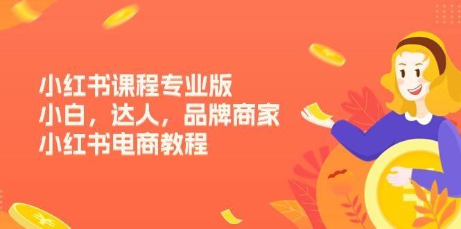 小红书课程专业版，小白，达人，品牌商家，小红书电商教程(15节-资源宝库
