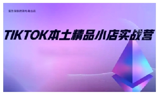 TikTok本土精品小店出海实战营,从入门到高阶,不止0-1!-资源宝库