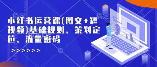 小红书运营课(图文+短视频)基础规则、策划定位、流量密码-资源宝库
