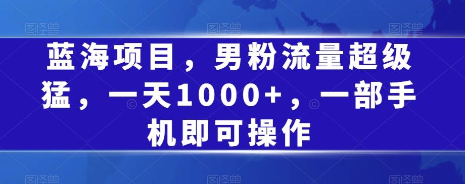蓝海项目，男粉流量超级猛，一天1000+，一部手机即可操作【揭秘】-资源宝库