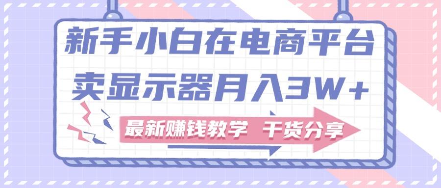 新手小白如何做到在电商平台卖显示器月入3W+，最新赚钱教学干货分享-资源宝库