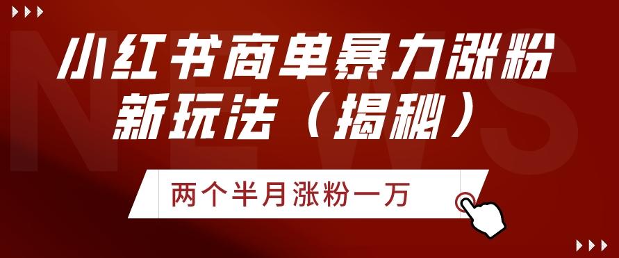 小红书商单暴力涨粉新玩法两个半月涨粉一万（揭秘）-资源宝库