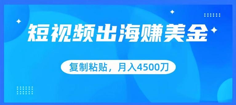 短视频出海赚美金，复制粘贴批量操作，小白轻松掌握，月入4500美刀【揭秘】-资源宝库