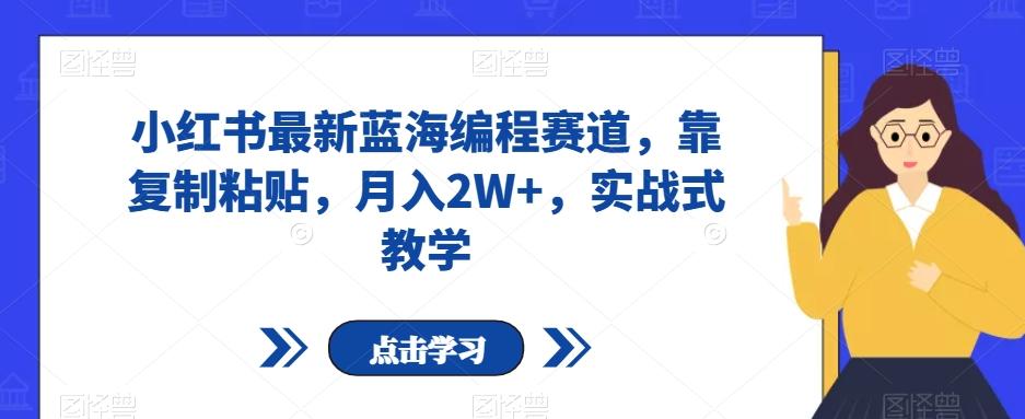 小红书最新蓝海编程赛道，靠复制粘贴，月入2W+，实战式教学【揭秘】-资源宝库