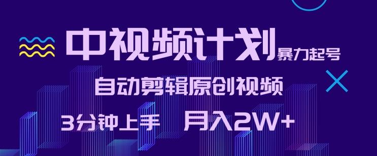 中视频计划暴力起号，自动剪辑原创视频，3分钟上手，月入2W+【揭秘】-资源宝库