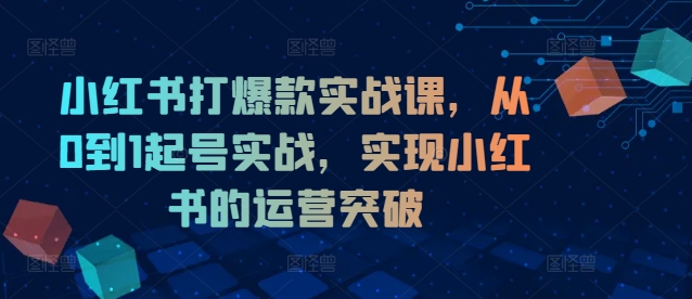 小红书打爆款实战课，从0到1起号实战，实现小红书的运营突破-资源宝库