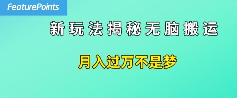 简单操作，每天50美元收入，搬运就是赚钱的秘诀【揭秘】-资源宝库