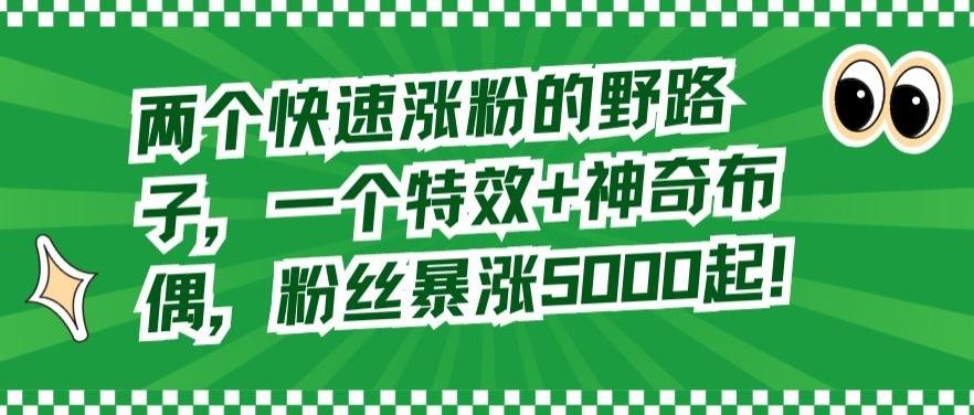 两个快速涨粉的野路子，一个特效+神奇布偶，粉丝暴涨5000起【揭秘】-资源宝库