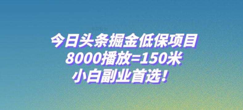 今日头条掘金低保项目，8000播放=150米，小白副业首选【揭秘】-资源宝库