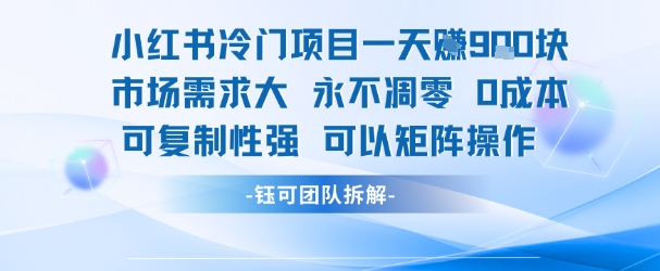 小红书冷门项目一天收益9张，市场需求大，0成本，可复制性强可以矩阵操作-资源宝库