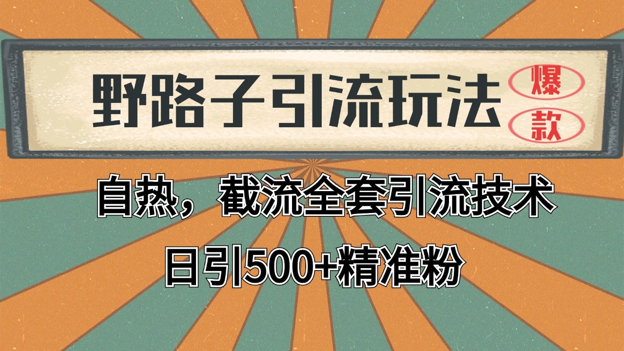 抖音小红书视频号全平台引流打法，全自动引流日引2000+精准客户-资源宝库