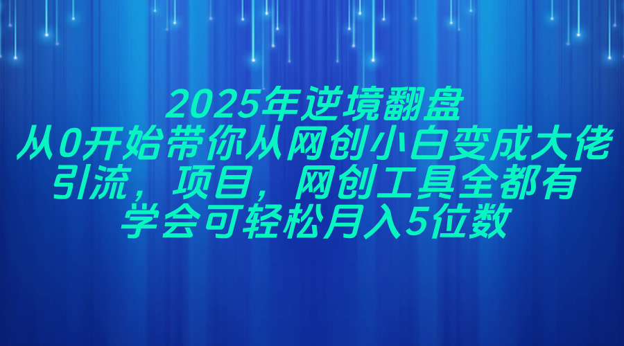 2025年逆境翻盘，从0开始带你从网创小白变成大佬，引流，项目，网创工…-资源宝库