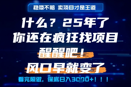 什么？25年你还在疯狂找项目做，醒醒吧，看完这些你全都懂了！【揭秘】-资源宝库