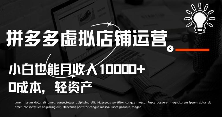 拼多多虚拟店铺运营小白也能月收入10000+【揭秘】-资源宝库