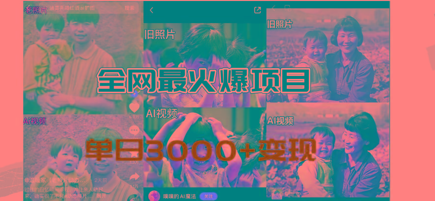 全网爆火的AI让老照片动起来教程，蹭热点日赚3000+，内含免费工具一键...-资源宝库