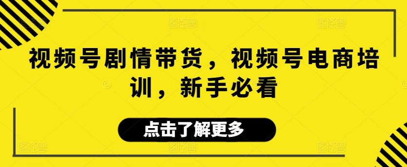 视频号剧情带货，视频号电商培训，新手必看-资源宝库