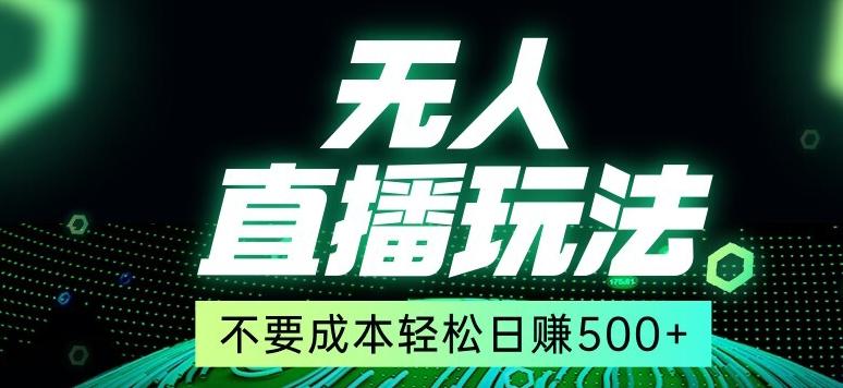 全网首发24年最新无人直播玩法，不需要成本，无需人力，一台电脑24小时为你工作-资源宝库