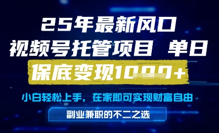 25年最新风口,视频号托管项目,单日保底变现1k+,手把手教学【揭秘】-资源宝库