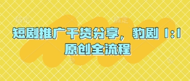 短剧推广干货分享,豹剧 1:1原创全流程-资源宝库