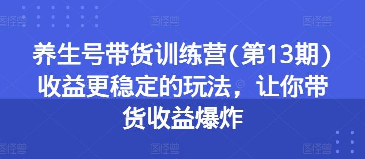 养生号带货训练营(第13期)收益更稳定的玩法，让你带货收益爆炸-资源宝库