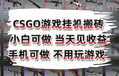 CSGO游戏挂G搬砖,小白纯手机即可操作,不用电脑打游戏,日入3张+,副业网创项目【揭秘】-资源宝库