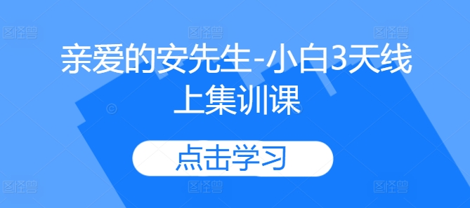 亲爱的安先生-小白3天线上集训课-资源宝库