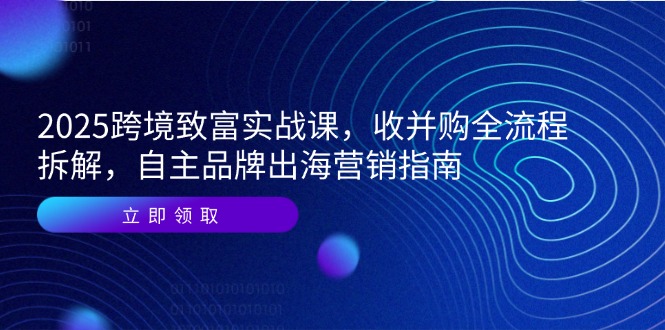 2025跨境致富实战课，收并购全流程拆解，自主品牌出海营销指南-资源宝库