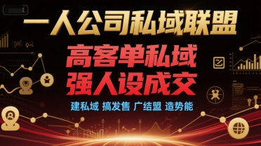 一人公司私域联盟,高客单私域,强人设成交,建私域 搞发售 广结盟 造势能-资源宝库