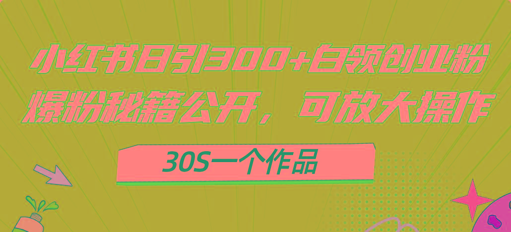 小红书日引300+高质白领创业粉，可放大操作，爆粉秘籍！30s一个作品-资源宝库