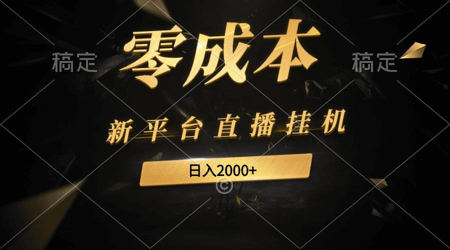 (9841期)新平台直播挂机最新玩法，0成本，不违规，日入2000+-资源宝库