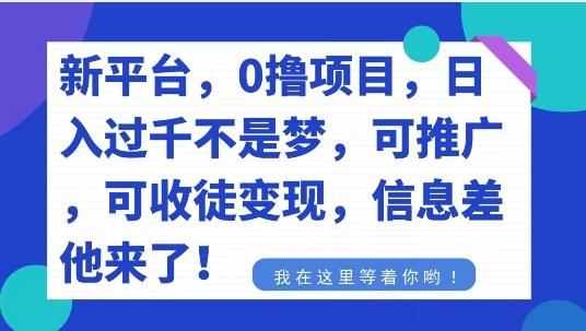 不要再花冤枉钱了，0撸项目，每天坚持，稳定1000+-资源宝库