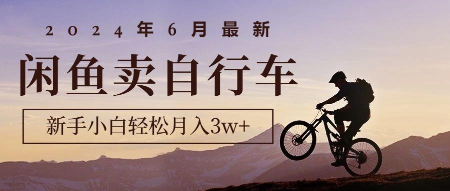 2024年6月最新闲鱼卖自行车，新手小白轻松月入3w+项目-资源宝库