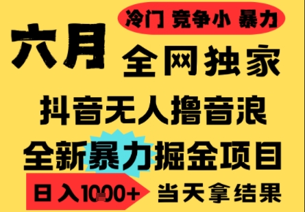 25年6月高爆抖音无人直播最新撸音浪掘金项目,小白可做,无脑日入1k+,门槛低可批量矩阵【揭秘】-资源宝库