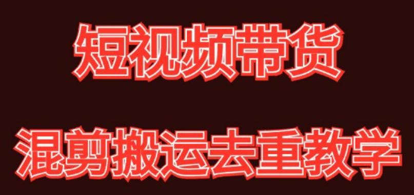 混剪去重短视频带货玩法，混剪搬运简单过原创思路分享-资源宝库