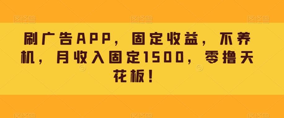 刷广告APP，固定收益，不养机，月收入固定1500，零撸天花板！-资源宝库