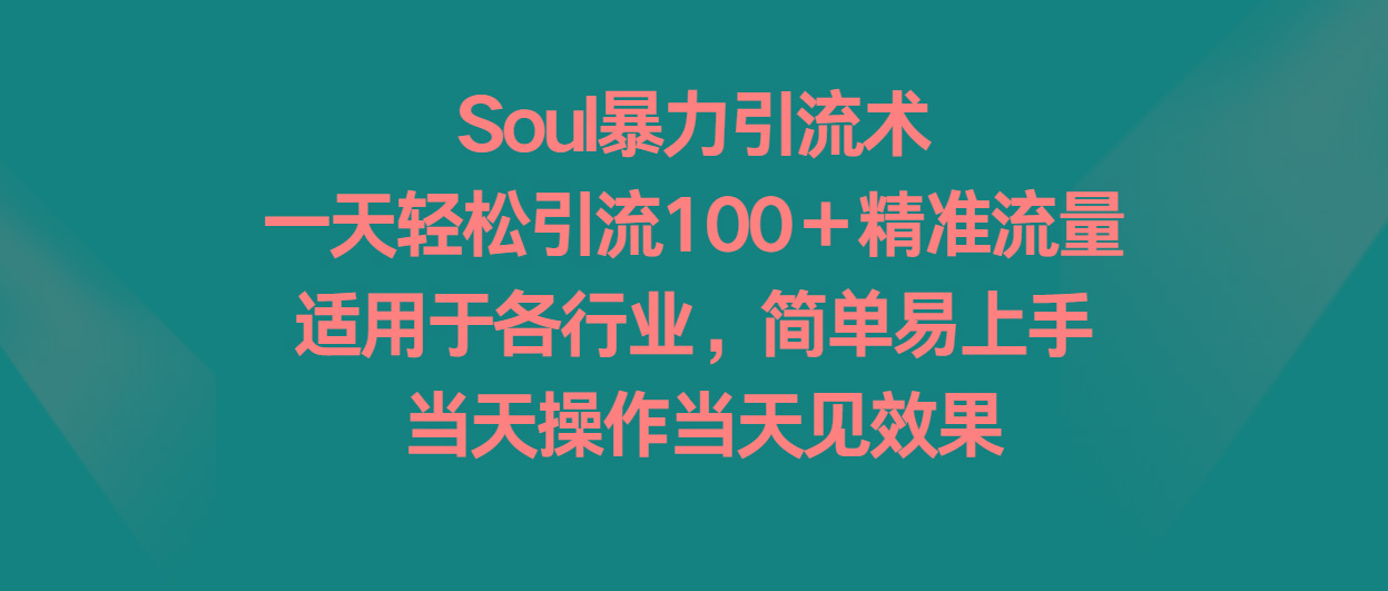 Soul暴力引流术，一天轻松引流100＋精准流量，适用于各行业，简单易上手！-资源宝库