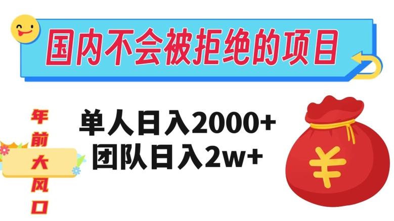 在国内不怕被拒绝的项目，单人日入2000，团队日入20000+【揭秘】-资源宝库