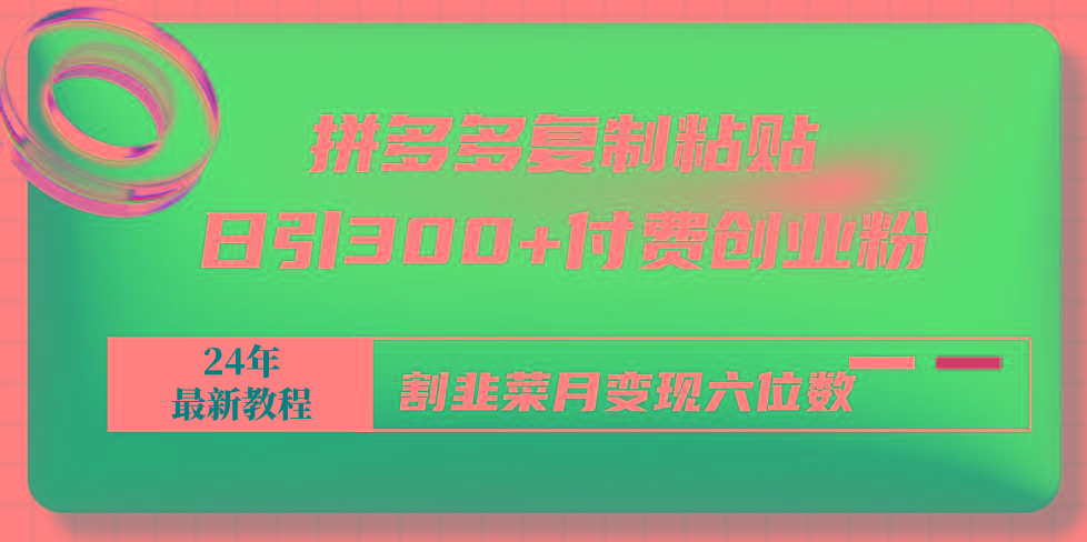 拼多多复制粘贴日引300+付费创业粉，割韭菜月变现六位数最新教程！-资源宝库