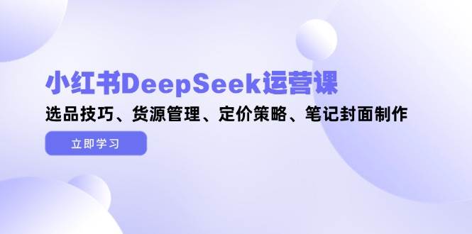 小红书DeepSeek运营课，选品技巧、货源管理、定价策略、笔记封面制作-资源宝库