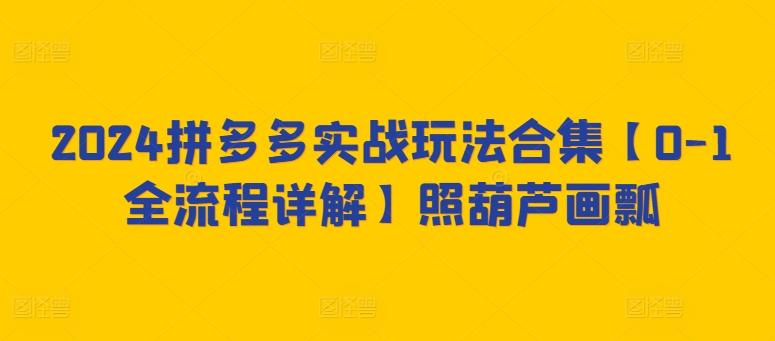 2024拼多多实战玩法合集【0-1全流程详解】照葫芦画瓢-资源宝库