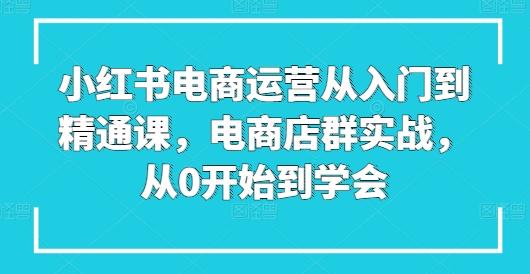 小红书电商运营从入门到精通课，电商店群实战，从0开始到学会-资源宝库