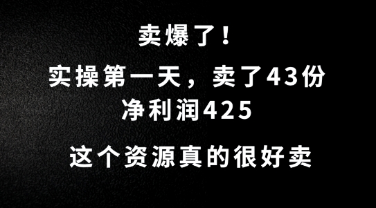 这个资源，需求很大，实操第一天卖了43份，净利润425【揭秘】-资源宝库