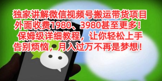 独家讲解微信视频号搬运带货项目，保姆级详细教程-资源宝库