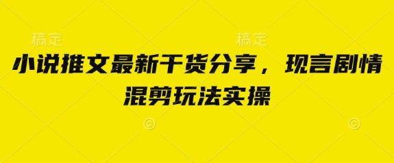 小说推文最新干货分享，现言剧情混剪玩法实操-资源宝库