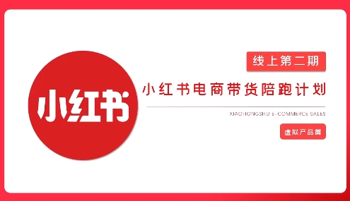 2025小红书虚拟电商实战课,从0到1打造无货源店铺,AI+爆款笔记轻松变现-资源宝库