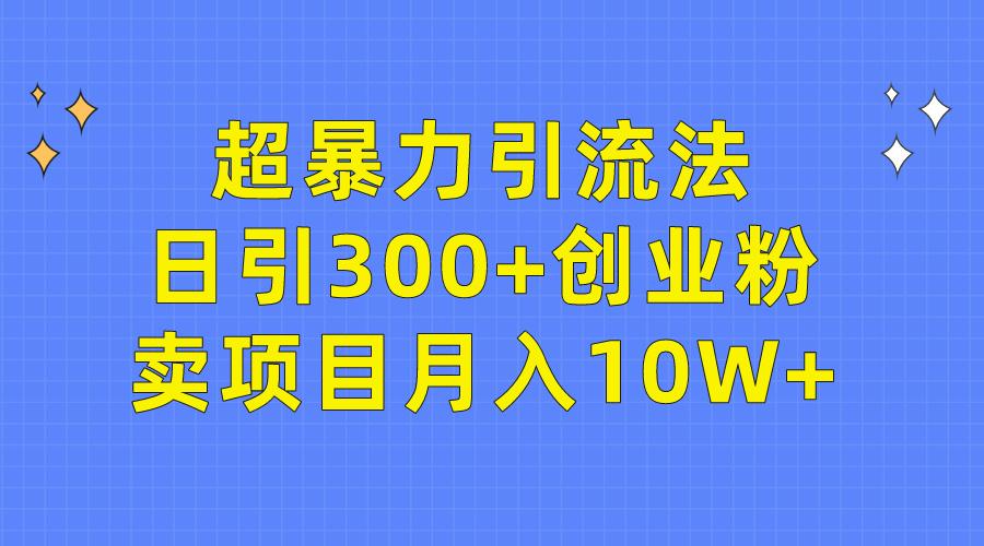 (9954期)超暴力引流法，日引300+创业粉，卖项目月入10W+-资源宝库