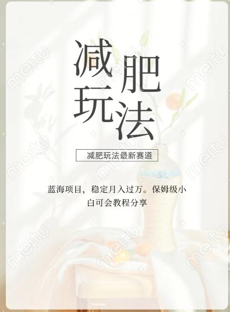 减肥流量主新玩法，轻松月入1W，可矩阵操作收入翻倍-资源宝库