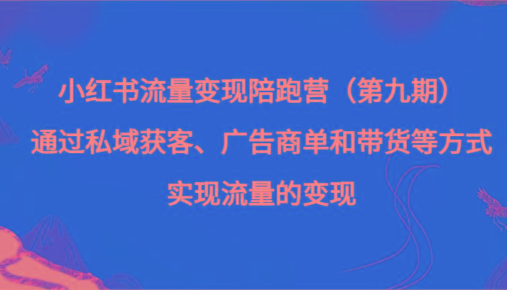 小红书流量变现陪跑营（第九期）通过私域获客、广告商单和带货等方式实现流量变现-资源宝库